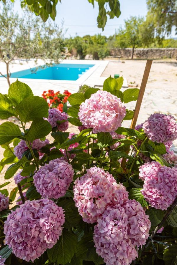 Bed and Breakfast Marcelovi Dvori Пировац Экстерьер фото
